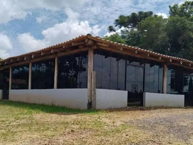 Apartamento aluguel em Região Geográfica Imediata de Curitiba, Região Metropolitana de Curitiba