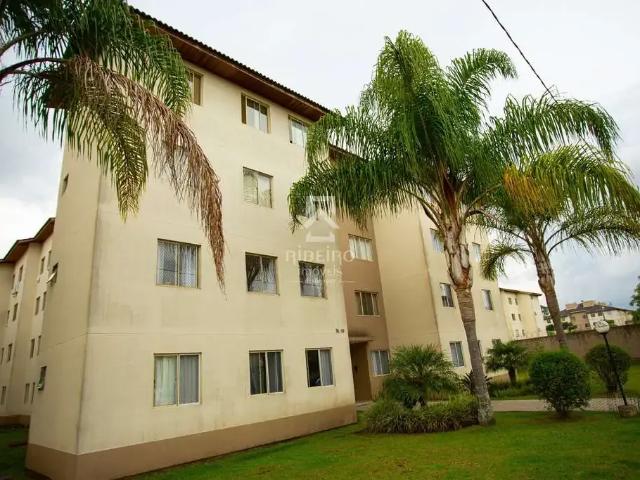 Apartamento aluguel em Região Geográfica Imediata de Curitiba, Região Metropolitana de Curitiba