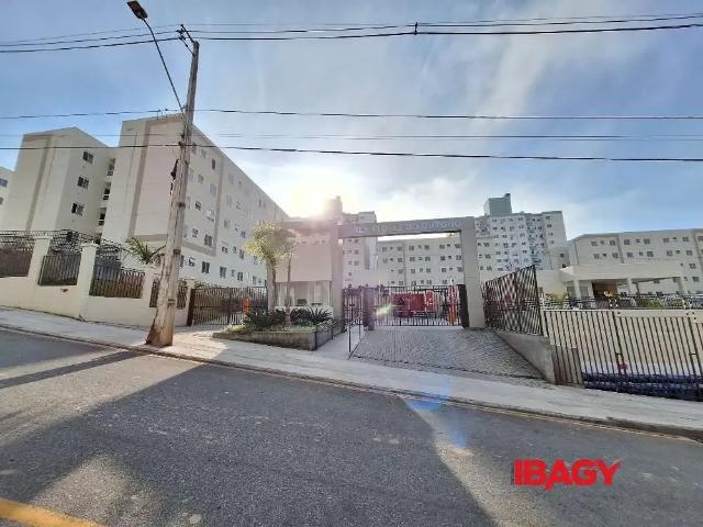 Apartamento aluguel em Região Geográfica Imediata de Florianópolis, São José