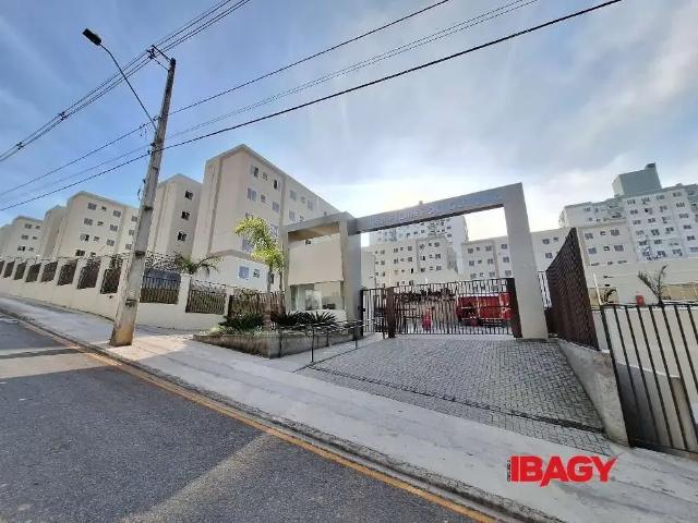 Apartamento aluguel em Região Geográfica Imediata de Florianópolis, São José