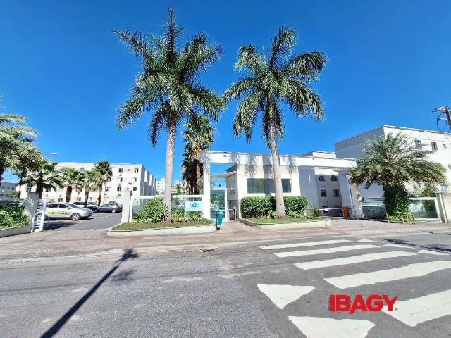 Apartamento aluguel em Roçado, São José