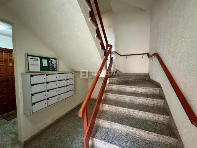 Apartamento aluguel em Região Geográfica Imediata de Florianópolis, São José