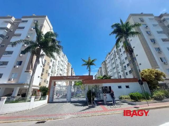 Apartamento aluguel em Região Geográfica Imediata de Florianópolis, São José