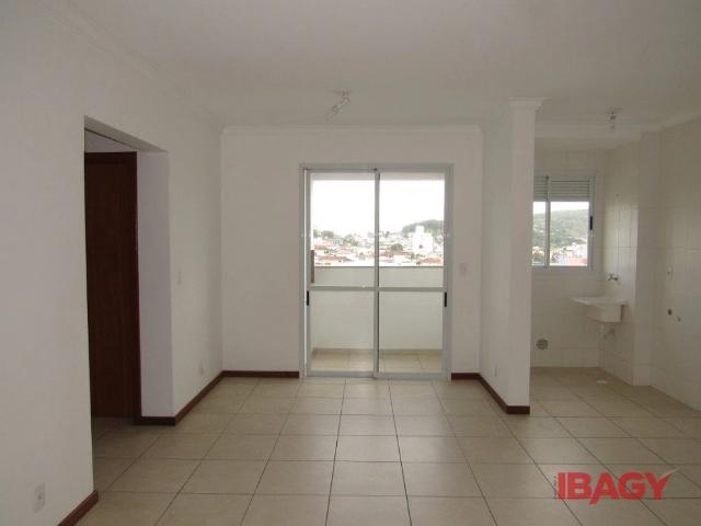 Apartamento aluguel em Fazenda Santo Antônio, São José