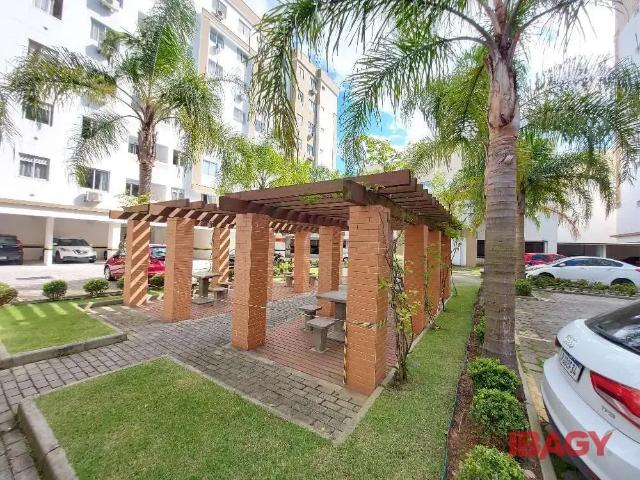 Apartamento aluguel em Região Geográfica Imediata de Florianópolis, São José