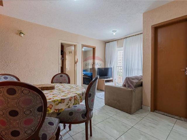 Apartamento aluguel em Parque Boturussu, São Paulo