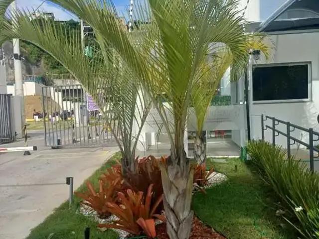 Apartamento aluguel em Região Geográfica Imediata de Salvador, Região Metropolitana de Salvador