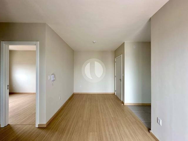 Apartamento aluguel em Faxinal da Palma, Santa Maria