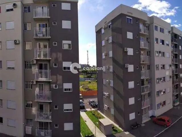 Apartamento aluguel em Região Geográfica Imediata de Santa Maria, Santa Maria