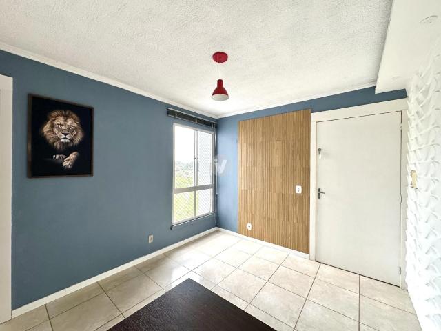 Apartamento aluguel em Urlândia, Santa Maria