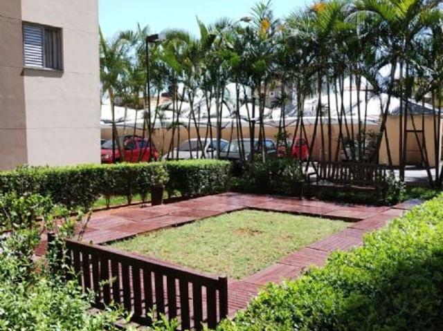 Apartamento aluguel em Jardim Cambuí, Santo André