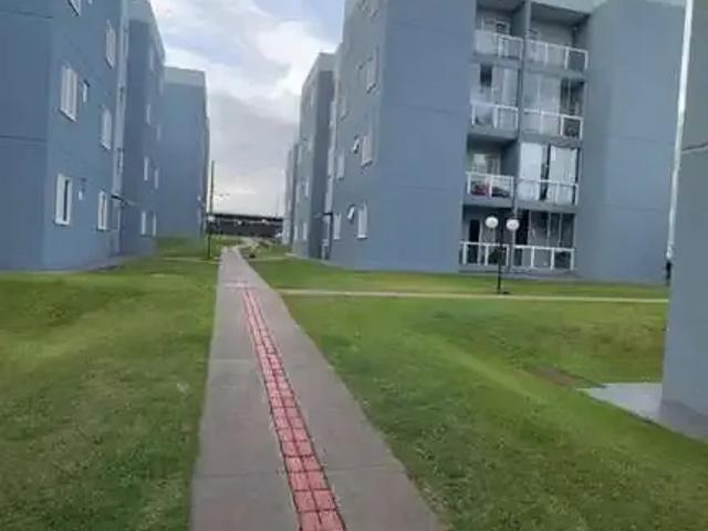 Apartamento aluguel em Região Geográfica Imediata de Maringá, Sarandi