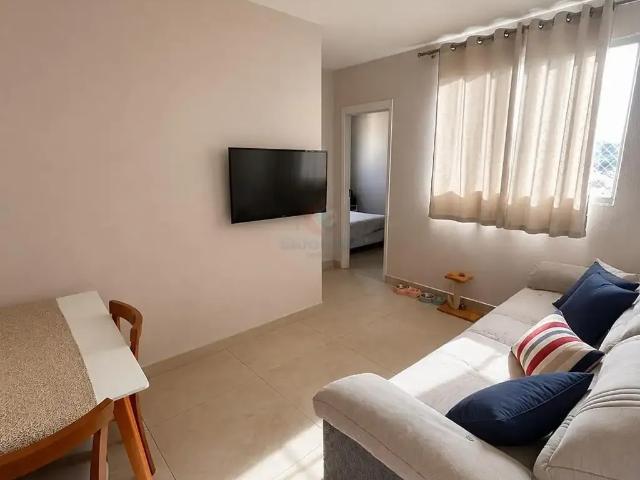 Apartamento aluguel em Região Imediata de Campinas, Região Metropolitana de Campinas