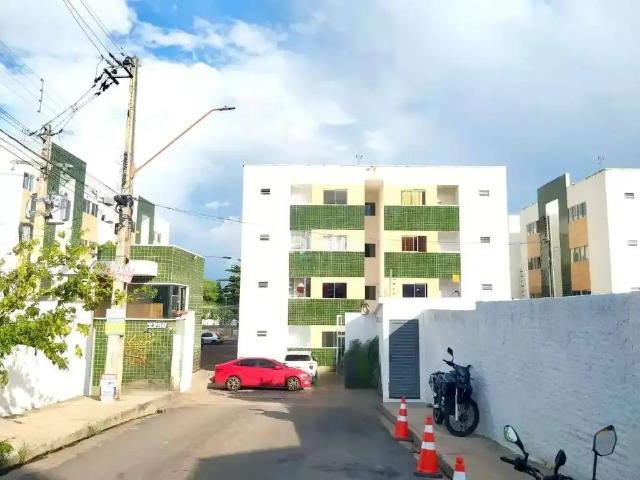 Apartamento aluguel em Região Geográfica Imediata de Teresina, Região Integrada de Desenvolvimento da Grande Teresina