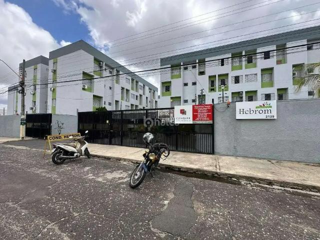 Apartamento aluguel em Região Geográfica Imediata de Teresina, Região Integrada de Desenvolvimento da Grande Teresina