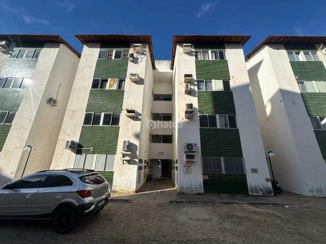 Apartamento aluguel em Macaúba, Teresina