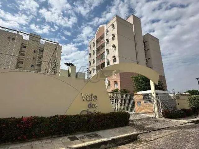 Apartamento aluguel em Região Geográfica Imediata de Teresina, Região Integrada de Desenvolvimento da Grande Teresina