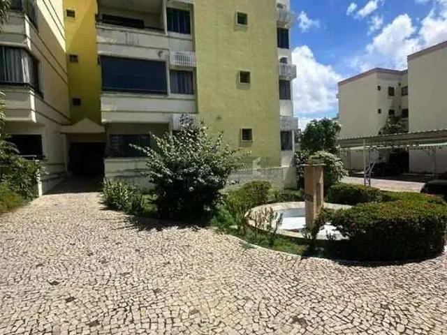 Apartamento aluguel em Região Geográfica Imediata de Teresina, Região Integrada de Desenvolvimento da Grande Teresina