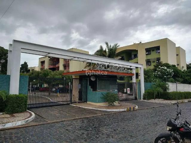 Apartamento aluguel em Região Geográfica Imediata de Teresina, Região Integrada de Desenvolvimento da Grande Teresina