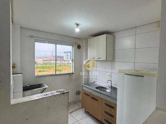 Apartamento aluguel em Região Geográfica Imediata de Itajaí, Tijucas