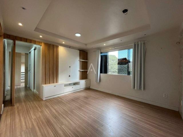 Apartamento aluguel em Região Geográfica Imediata de Toledo, Toledo