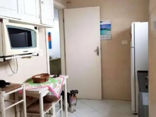 Apartamento aluguel em Região Imediata de Caraguatatuba-Ubatuba-São Sebastião, Região Metropolitana do Vale do Paraíba e Litoral Norte