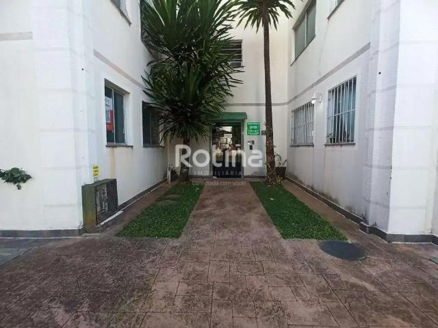 Apartamento aluguel em Região Geográfica Imediata de Uberlândia, Oliveira Fortes