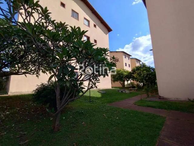 Apartamento aluguel em Planalto, Uberlândia