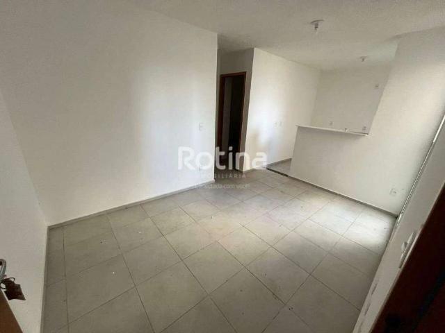 Apartamento aluguel em Chácaras Tubalina e Quartel, Uberlândia