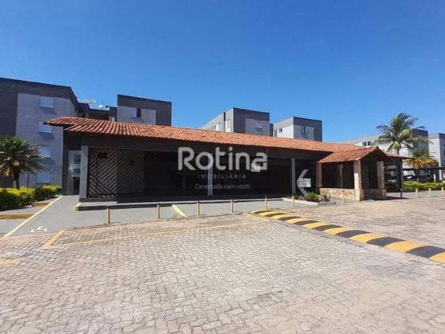 Apartamento aluguel em Alto Umuarama, Uberlândia