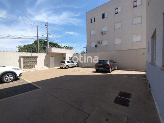 Apartamento aluguel em Alto Umuarama, Uberlândia