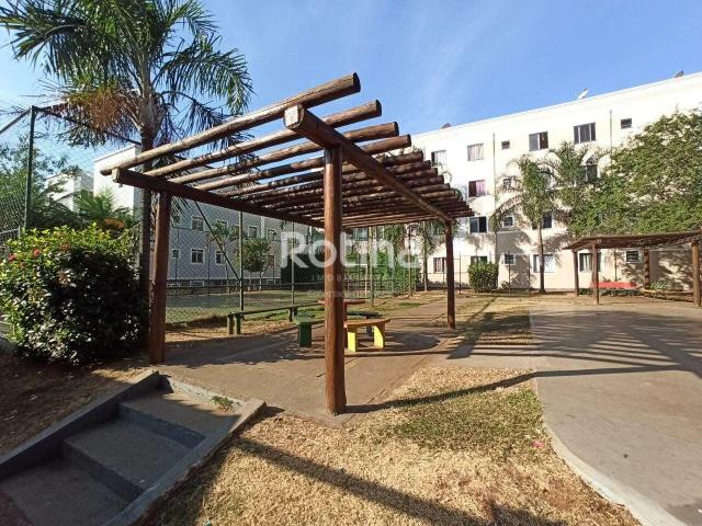 Apartamento aluguel em Planalto, Uberlândia