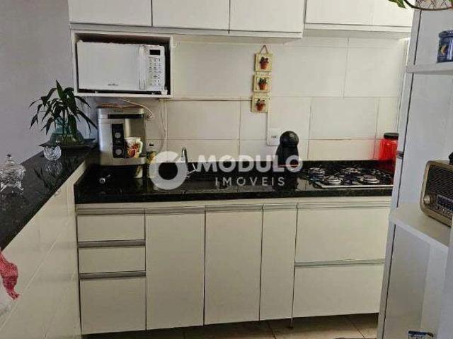 Apartamento aluguel em Jardim Europa, Uberlândia