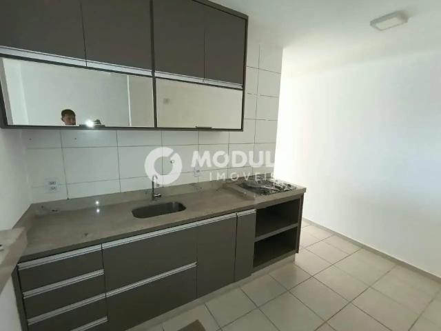 Apartamento aluguel em Setor Sul, Uberlândia