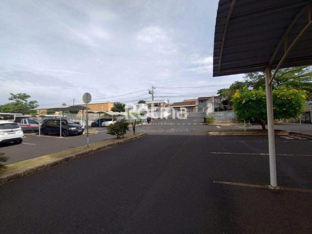 Apartamento aluguel em Jardim Patrícia, Uberlândia