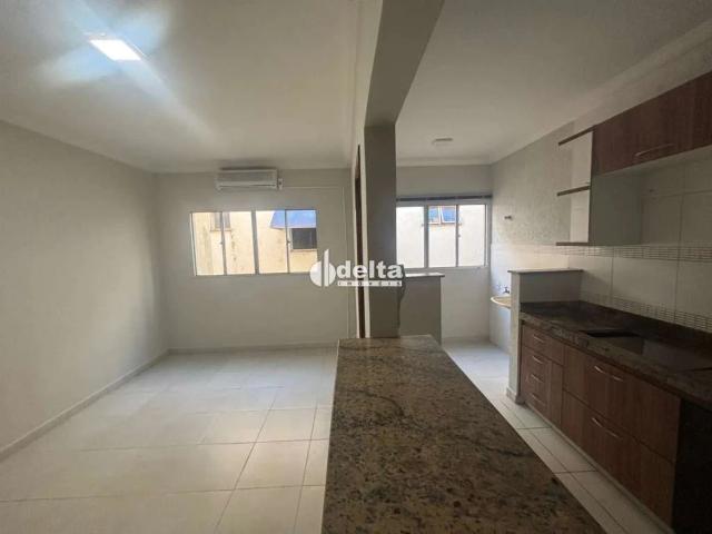 Apartamento aluguel em Dona Zulmira, Uberlândia
