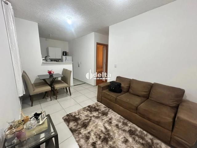 Apartamento aluguel em Jardim Patrícia, Uberlândia