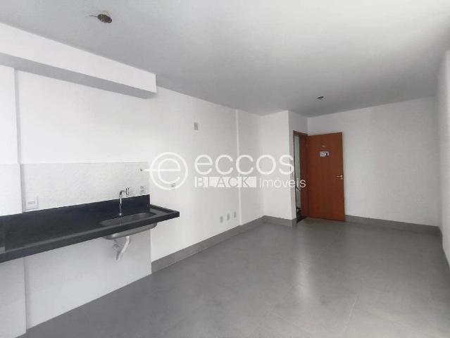 Apartamento aluguel em Setor Central, Uberlândia