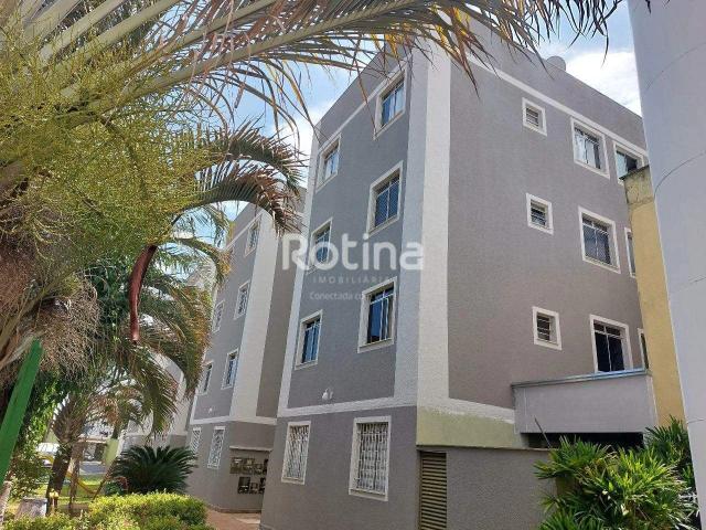 Apartamento aluguel em Setor Central, Uberlândia
