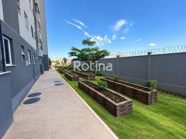 Apartamento aluguel em Setor Central, Uberlândia