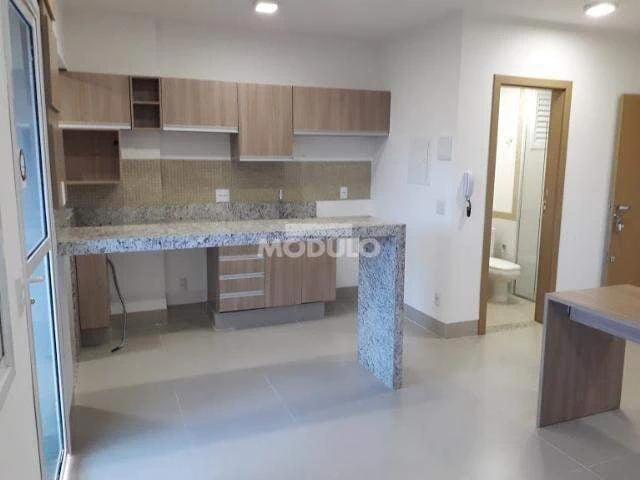 Apartamento aluguel em Setor Sul, Uberlândia