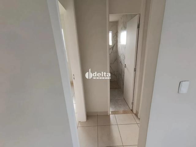 Apartamento aluguel em Novo Mundo, Uberlândia