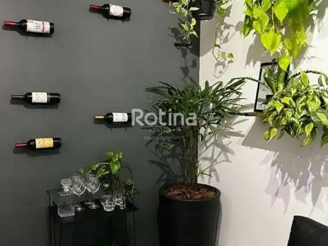 Apartamento aluguel em Novo Mundo, Uberlândia