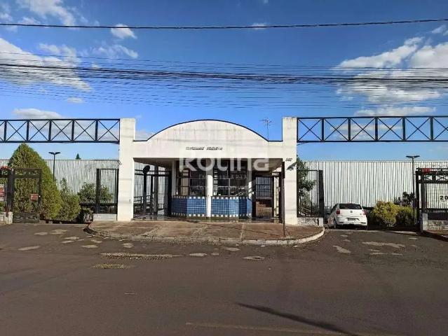 Apartamento aluguel em Região Geográfica Imediata de Uberlândia, Oliveira Fortes