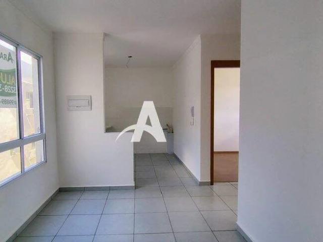 Apartamento aluguel em Pequis, Uberlândia