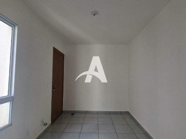 Apartamento aluguel em Pequis, Uberlândia