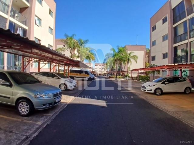 Apartamento aluguel em Segismundo Pereira, Uberlândia