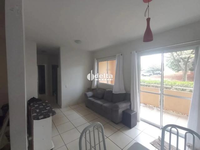 Apartamento aluguel em Tibery, Uberlândia