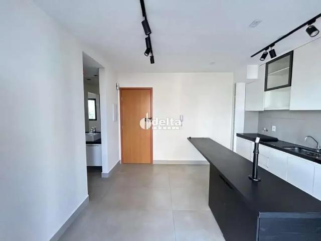 Apartamento aluguel em Região Geográfica Imediata de Uberlândia, Oliveira Fortes
