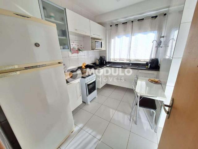 Apartamento aluguel em Setor Sul, Uberlândia